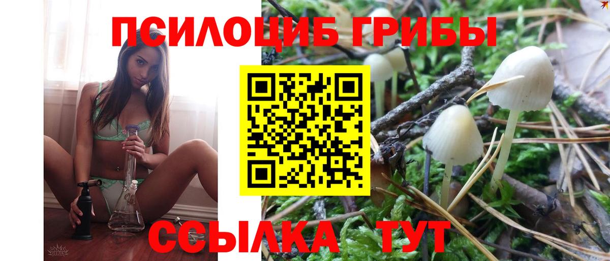 Галлюциногенные грибы Magic Shrooms  Псилоцибиновые грибы мицелий  магазин продажи   Вход с VPN  Кунгур 