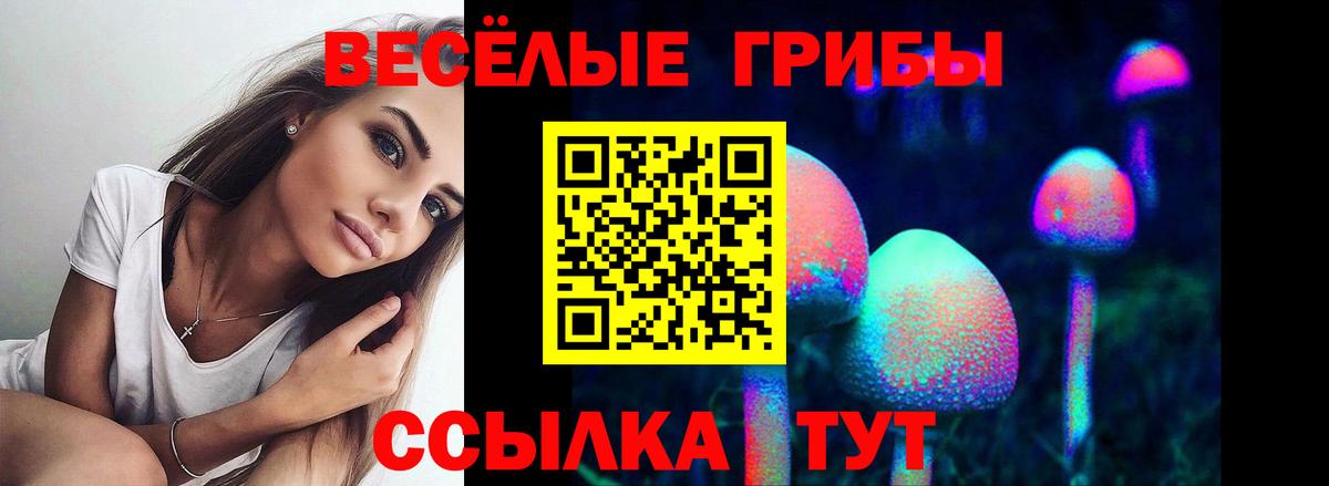 Галлюциногенные грибы мицелий Кунгур